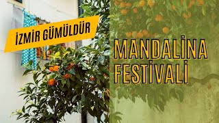 İzmir GümüldürÖzdere Mandalina festivali 2023 [upl. by Merkle]