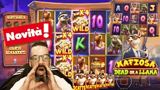 🔴 NOVITA  MAFIOSA DEAD OR A LLAMA🦙 CON ACQUISTI BONUS💸 SLOT ONLINE ITA [upl. by Peers]