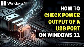 How to Check Power Output of a USB Port on Windows 11 [upl. by Oinotnanauj658]