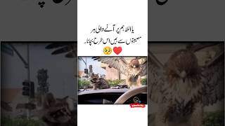 Musebat 🥺❤Islamic Quotes  Sunheri Alfaz  Sad status video  Sad poetry  Deep meaning shorts [upl. by Parhe860]