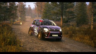 Simucube Pro Force Feedback Settings  EA Sports WRC [upl. by Fishback956]