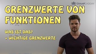 Grenzwerte von Funktionen Was ist das  Wichtige Grenzwerte [upl. by Tirrag829]