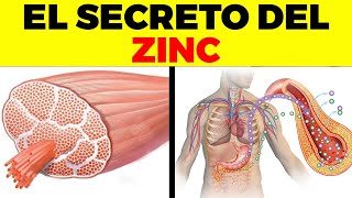 Esto no sabías del ZINC  Beneficios Y Usos Del Zinc Para Tu Salud Y Belleza [upl. by Timothee756]