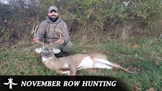 BOWHUNTING FOR EARLY NOVEMBER WHITETAILS [upl. by Ralston]