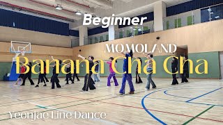 Banana Cha Cha Line DanceMOMOLANDBeginner [upl. by Akeimahs]