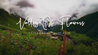 Valley of Flowers  The most beautiful trek of India  Rishikesh  Uttarakhand Injaras [upl. by Balsam]