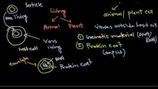 1 virus structure introduction [upl. by Lesko962]