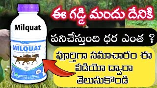 milquat uses in Telugu  milquat none selective herbicide  milquat herbicide paraquat dichloride 24 [upl. by Kalila]