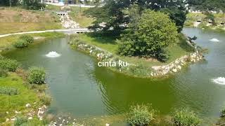 PESONA TAMAN DI TENGAH KOTA SINGAPORE [upl. by Lay]