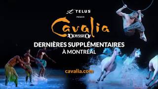 Cavalia Odysséo à Montreal  Dernières supplémentaires [upl. by Corella478]