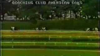 Ruffian her last complete race [upl. by Peters]