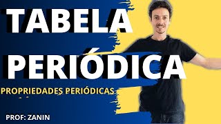 PROPRIEDADES PERIÓDICAS  Tabela Periódica [upl. by Marinelli]