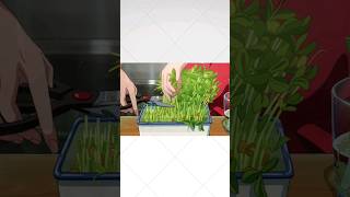 Beautiful cooking scenes from Makoto Shinkai movies shorts anime cooking [upl. by Lowery]