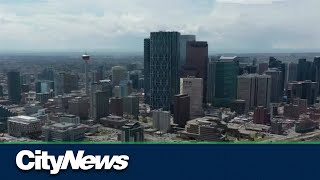 Calgary reacts to federal budget [upl. by Spillar]