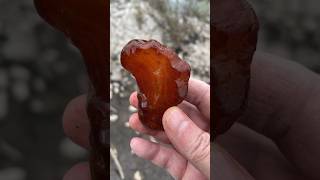 Absolutely Stunning Dark Red Carnelian Agate I Wait to the End I 2024 rockhounding shorts river [upl. by Vashtia]