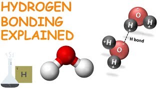 Hydrogen Bonding Easy Explanation in 2 min  in hindi [upl. by Inglis]