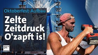 Härtetest OktoberfestAufbau in 10 Wochen zur fertigen Wiesn  Abendschau Reportage  BR24 [upl. by Huberman737]