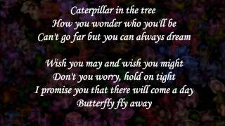 Butterfly fly away  Miley Cyrus lyrics [upl. by Zeitler]