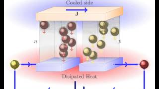 Peltier Effect Thermoelectric cooling [upl. by Merton]