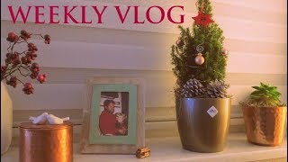 WEEKLYVLOG ChemoVorbereitung abendliche Gedanken [upl. by Havot430]