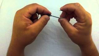 Fishing Knots that You Need to Know [upl. by Lash]