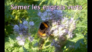 Semer les engrais verts  Les 4 Saisons du jardin bio [upl. by Anatlus]