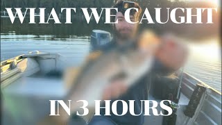 Fishing Batemans Bay in 3 Hours  What Can We Catch Vlog [upl. by Aratahc17]