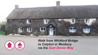 Walking East Devon Way  Whitford Link  AONB [upl. by Neelear622]