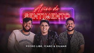 Ápice do Sentimento  Pedro Libe e Ícaro amp Gilmar Clipe Oficial Ao vivo amp Valendo [upl. by Trinetta925]