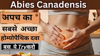 अपच का पावरफुल दवा  Abies Canadensis Homoeopathic Medicine  पेट को कैसे साफ करे [upl. by Fadiman]