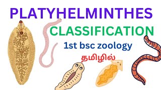 Platyhelminthes flatworms classification in tamil class trematodacestoda and turbellaria in tamil [upl. by Sheya]