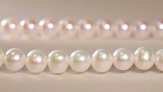 Freshwater vs Akoya Pearls Understanding the Differences in Under a Minute [upl. by Attenev]