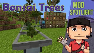 Bonsai Trees v112 Mod Spotlight for Minecraft 112 by Davenonymous [upl. by Eslek]