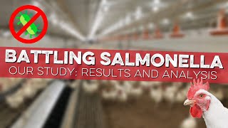 Our Salmonella Study Results and Analysis [upl. by Sheba]