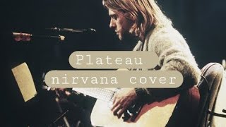 Plateau nirvana unplugged cover [upl. by Dyrraj245]