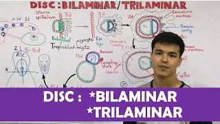 Embryology  DISC Bilaminar  Trilaminar [upl. by Tyrone]