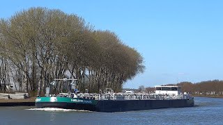 ⚓️NIEUWE MAAS tankschip uit Dordrecht 02338331 gespot op 31 03 2020 [upl. by Cusick810]