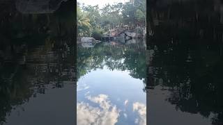 Cenotes tulum cenotes travelvlog viajes naturaleza casatortuga quintanaroo mexico viral [upl. by Namrej55]