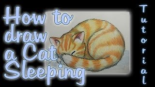 How to draw a Cat Sleeping [upl. by Lednyc766]