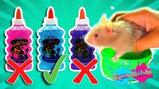 Mi hámster elige mis ingredientes para hacer Slime  Supermanualidades [upl. by Enicar]