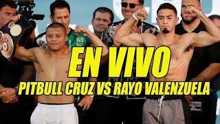 EN VIVO Pitbull Cruz vs Rayo Valenzuela [upl. by Ivel]