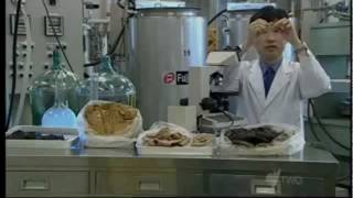 Shit Burger Japanese Researcher Creates Artificial Meat From Human Feces [upl. by Maguire]