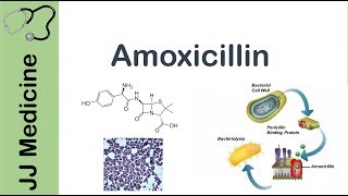 Amoxicillin  Bacterial Targets Mechanism of Action Adverse Effects  Antibiotic Lesson [upl. by Attayek]