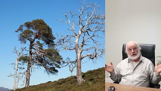 Restoring the Caledonian Forest in Scotland Alan Watson Featherstone SERA Conference 2016 [upl. by Idel]