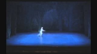 Muntagirov Nutcracker solo [upl. by Elocel]