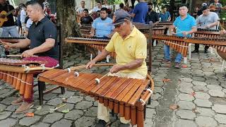 Aquella Indita Rondalla de Marimbas en Monimbo [upl. by Winchell]