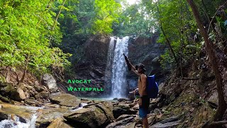 Avocat Waterfall a truly beautiful place that is a must visit located in Blanchisseuse Trinidad [upl. by Esinehc718]