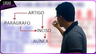 ARTIGO INCISO ALÍNEA PARÁGRAFO O QUE É ISSO [upl. by Ker]