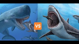 Megalodon versus Livyatan  Battle of the Titans [upl. by Atinrahc]