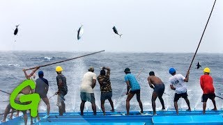 Catching tuna Maldivian style  Greenpeace [upl. by Liberati575]